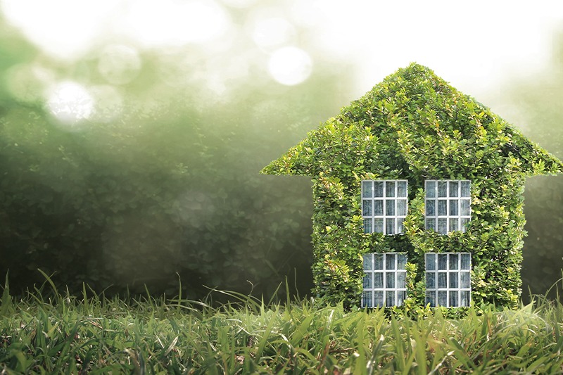 Extra Tips for a Greener Home with SLA
