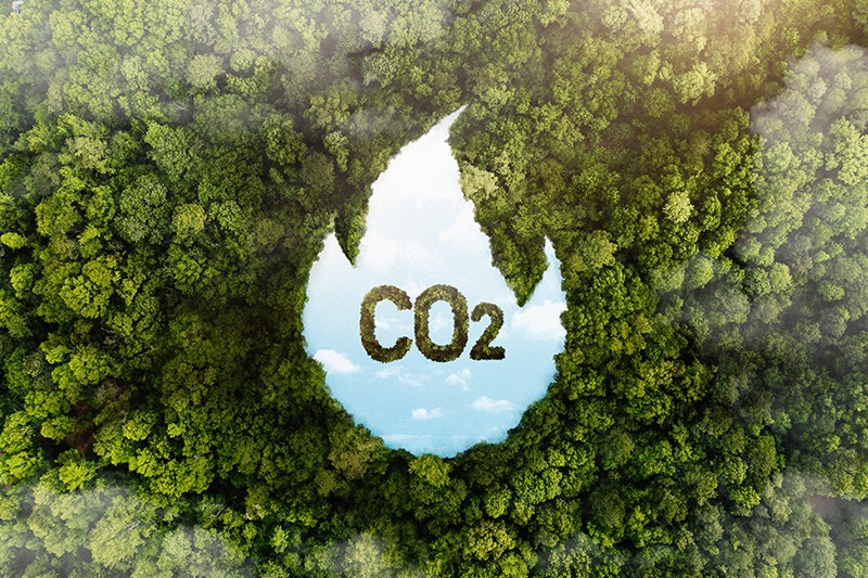 Why Cutting Your Carbon Emissions Matters